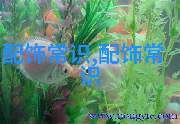 穿鞋脚臭怎么办